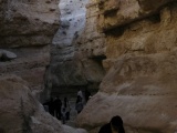 Tn  DSC0092